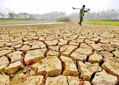 ທາບທາມຄວາມເຫັນຈາກປະຊາຄົມສາກົນກ່ຽວກັບການຮັບມືກັບການປ່ຽນແປງຂອງດິນຟ້າອາກາດ